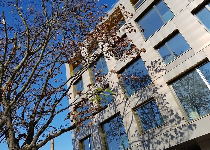 Msapartamenty Centrum 3